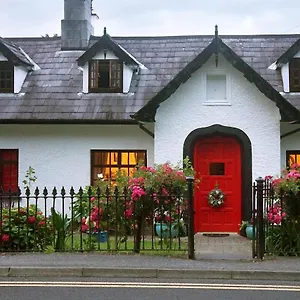 Ivy Bed and breakfast